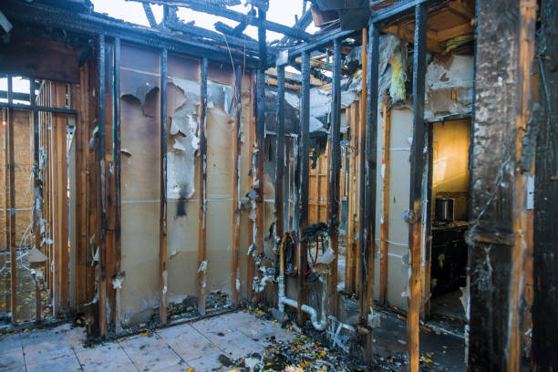 Professional Soot Cleanup technician working in Bardstown, KY